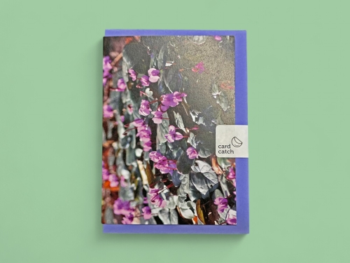 Removable Card Catch  Stickers 