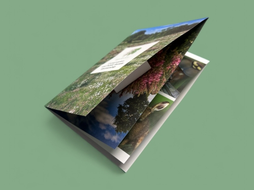 Cross Folded Leaflets