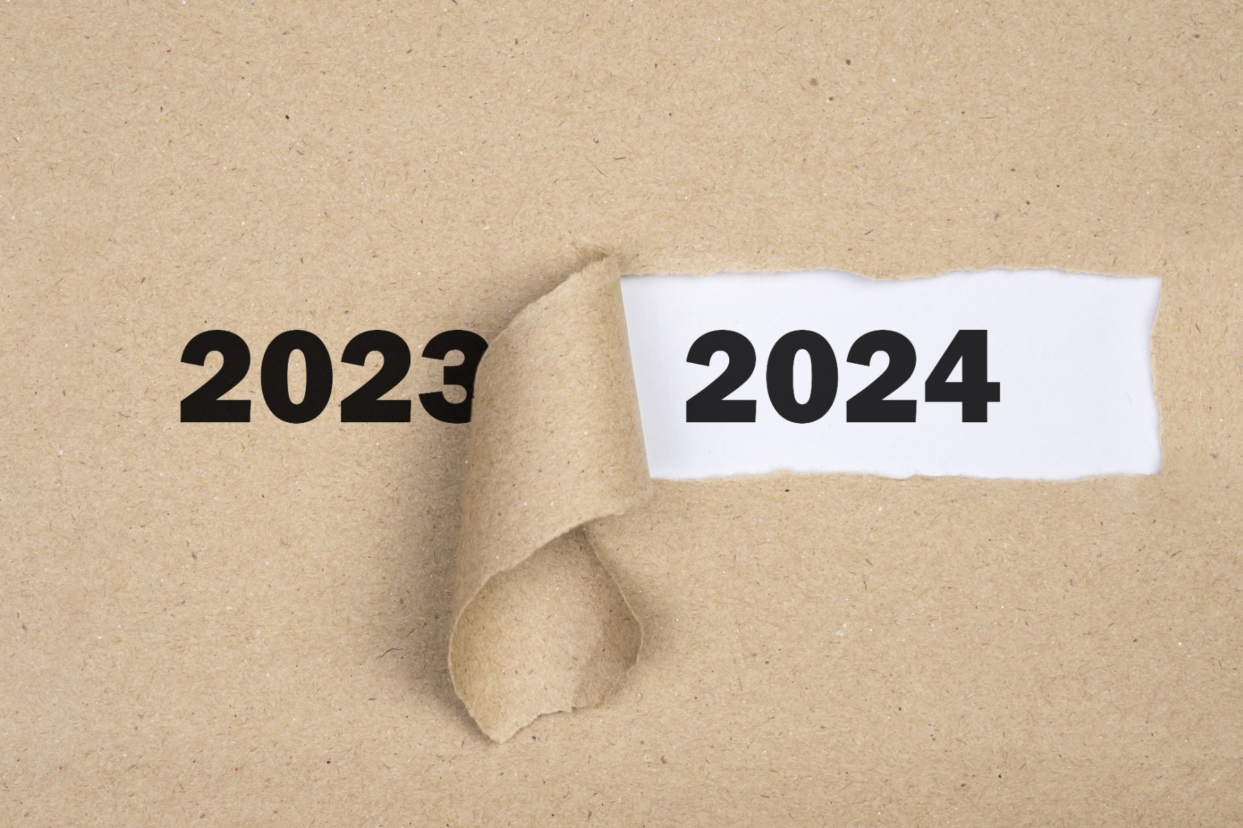Things we loved about 2023