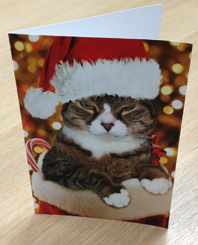 Christmas Cards with a Furry Edge!