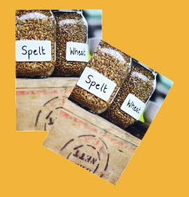 Printed Flyers: When Less is More