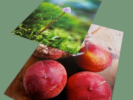 Greeting Card Printing in Fab Colour