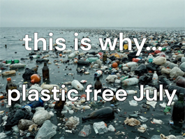 Commit To Going Plastic Free This July
