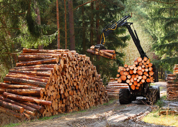 ALP Design Assistance