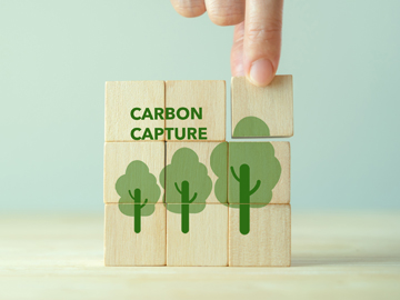 Carbon Offsetting Programme