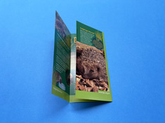 Folded Leaflet printing