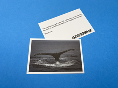 Flat Leaflet Printing