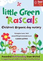 Flyer Printing for Little Green Rascals