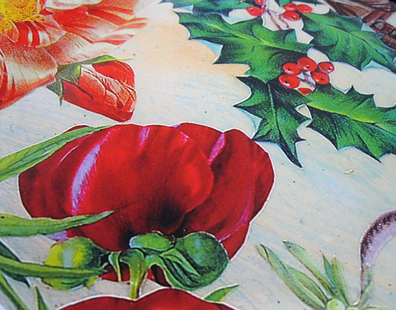 Testimonial - Wrapping Paper Printing