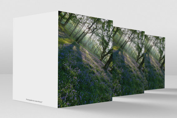 Customer Testimonial - Greeting Card Printing