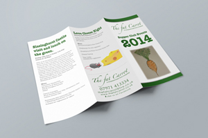 6pp DL Leaflet from Just-Printing