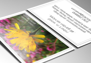 Leaflet Printing from Just-Printing