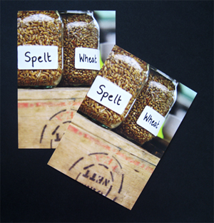 Printed Flyers on recycled board