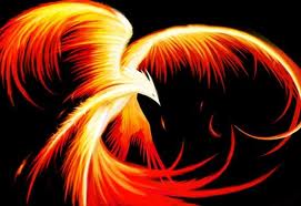 Rise of the Phoenix Rise of the Phoenix
