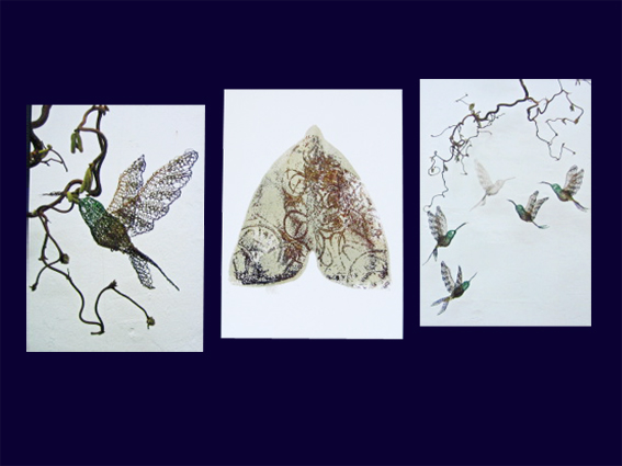 Printed postcards